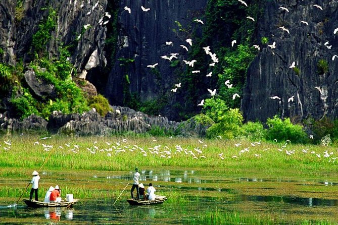 Hoa Lu and Tam Coc - Ninh Binh Day Tour - Tour Highlights