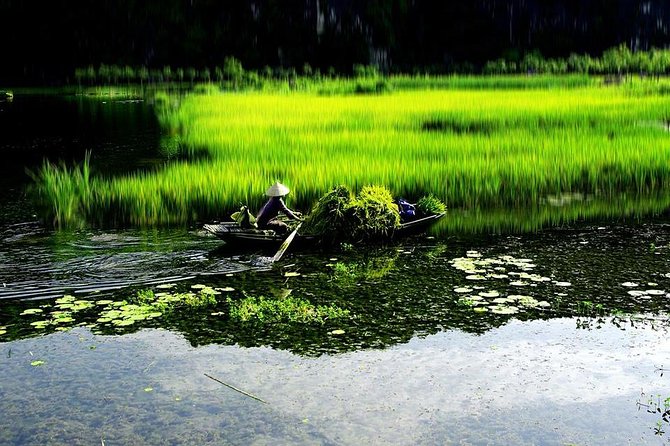 Hoa Lu and Tam Coc – Ninh Binh Day Tour