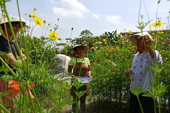 Unique Farm to Table Cooking Class in Saigon - Inclusions and Logistics Details