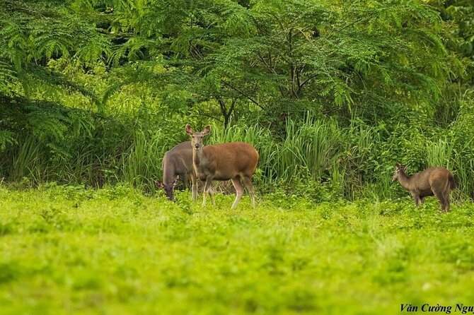 2-Day Trekking & Biking Nam Cat Tien National Park From HCM City - Meeting and Pickup Details