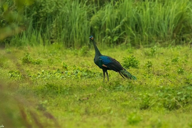 2-Day Trekking & Biking Nam Cat Tien National Park From HCM City - Reviews, Ratings, and Pricing