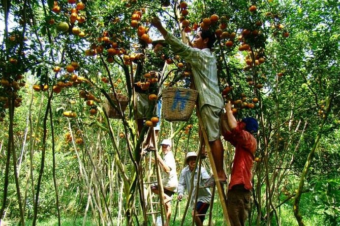 Private Tour to Mekong Delta 1 Day - Meeting and Pickup Details