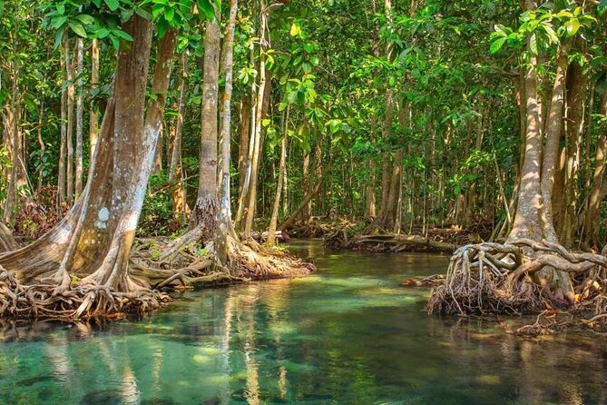 Vam Sat Mangrove Forest – VIP Private Tour From Ho Chi Minh City