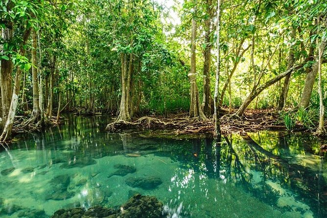 Vam Sat Mangrove Forest - VIP Private Tour From Ho Chi Minh City - Directions