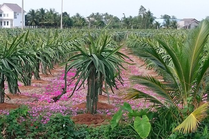 Best Mekong Delta Bike Tour - Directions