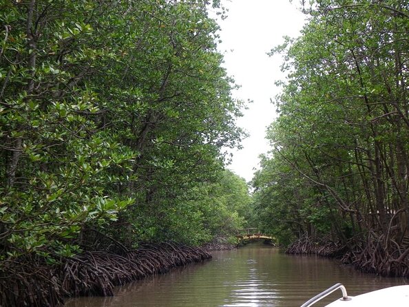 Monkey Island-Crocodile Farm - Can Gio Mangrove Forest 1 Day Tour - Key Points