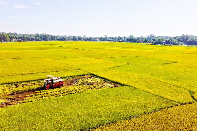 1 Day Luxury Tour of Mekong Delta and Cu Chi Tunnels by Mini Van - Transport and Logistics