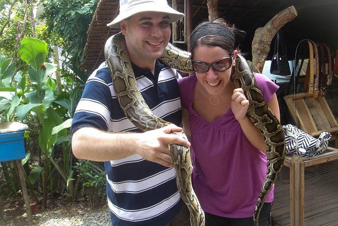 Mekong Delta 1 Day Tour With Lunch Set Menu - Customer Reviews and Testimonials