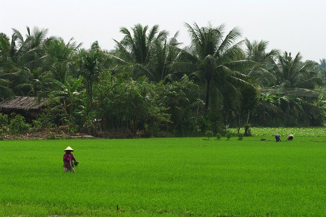 Adventure Cu Chi Tunnels and Mekong Delta Limousine Tour From HCM - Customer Reviews