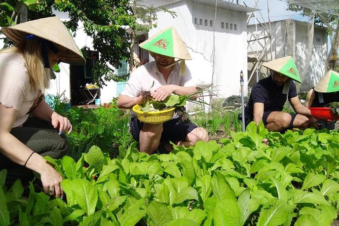 Explore Vietnamese Cuisine: Cooking Class From Ho Chi Minh City - Common questions