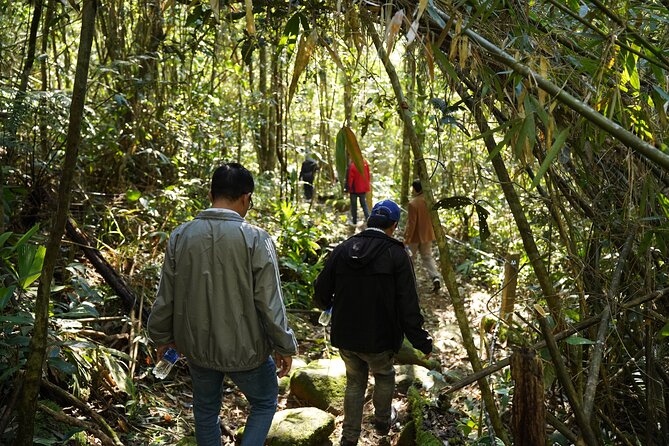 Bach Ma National Park Trekking Daily Tour From Da Nang, Hoi an - Common questions