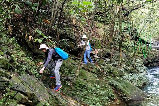 Bach Ma National Park Trekking Daily Tour From Da Nang, Hoi an - Tour Directions