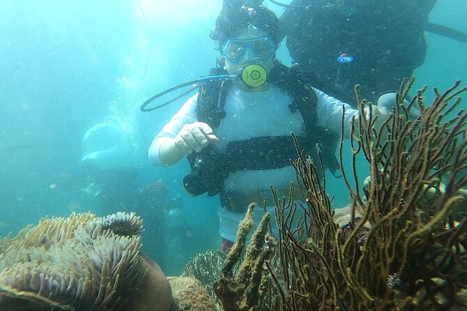 Coral Reef Snorkeling and Floating Bar Party From Nha Trang - Optional Activities