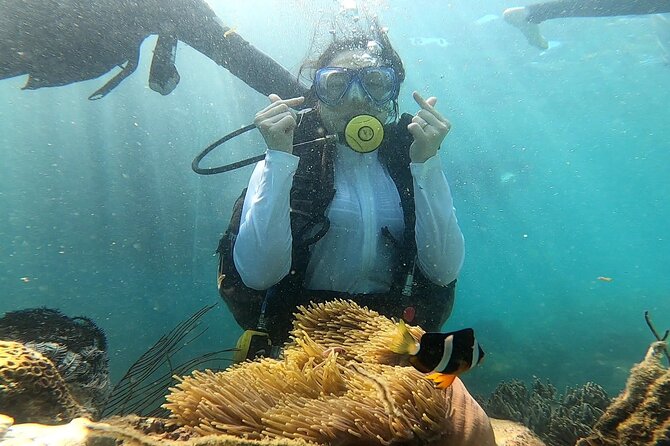 Coral Reef Snorkeling and Floating Bar Party From Nha Trang - Booking Information