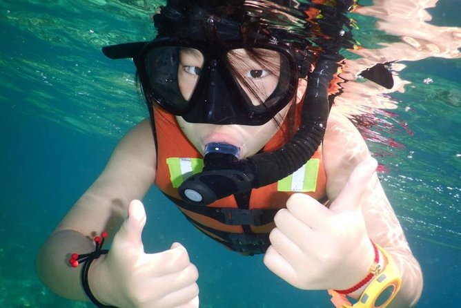 Explore Nha Trang Bay: Half-Day Snorkeling Adventure Tour - Customer Reviews and Recommendations