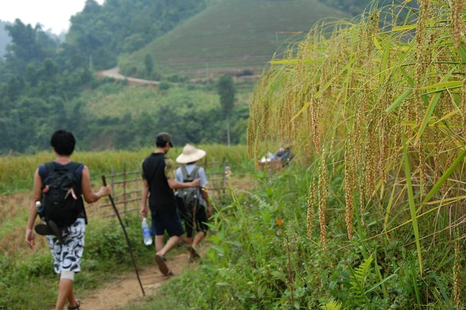 3-Day Trek in Amazing Muong Hoa Valley & Ethnic Homestay - Meeting Point and Start Time