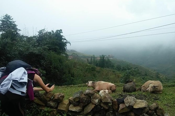 3-Day Trek in Amazing Muong Hoa Valley & Ethnic Homestay - Weather and Operation Requirements