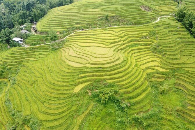 Experience Full Day Trekking Tour Visit Terraced and Villages - Local Culture Immersion