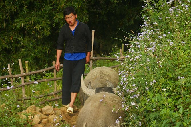 2D1N Buffalo Trek by Hmong Sister House and Trekking - Activity Level and Requirements