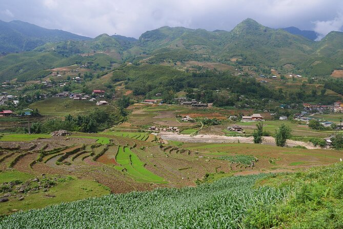 2D1N Buffalo Trek by Hmong Sister House and Trekking - Meals Included