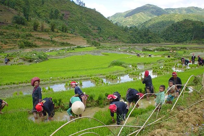 Sapa Hard Trekking Villages 2d/1n: Homestay, Meals, English Speaking Guide - Pickup and Logistics