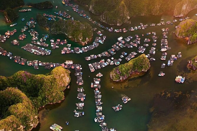 Amazing Day - Boat Trip Discover Real Ha Long Bay and Lan Ha Bay - Tour Details