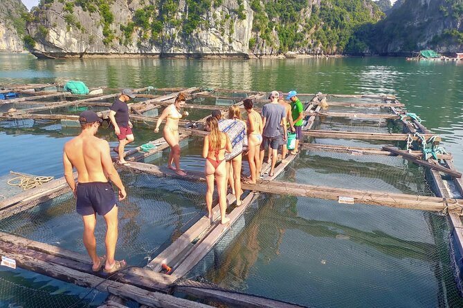 From Cat Ba Island: Full Day Boat Tour to Lan Ha Bay - Ha Long Bay - Tour Guide and Crew Information