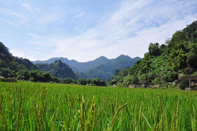 Trekking the Northern Trails of Vietnam 9 Days 8 Nights - Day 7: Discover Hidden Gems