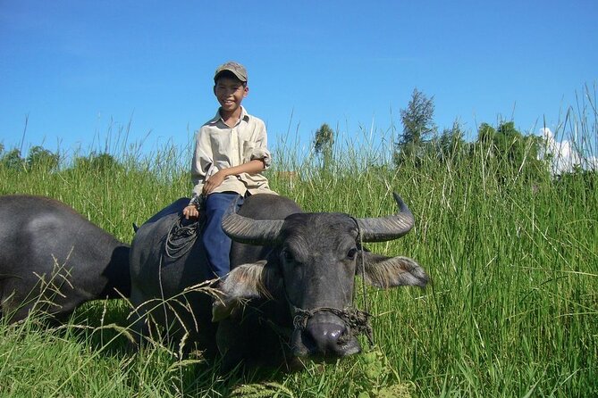 Afternoon Countryside Bike Tour From Hoi an - Tour Details