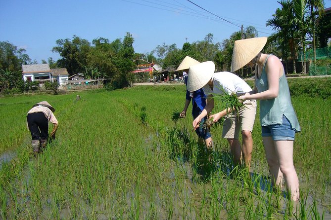 Afternoon Countryside Bike Tour From Hoi an