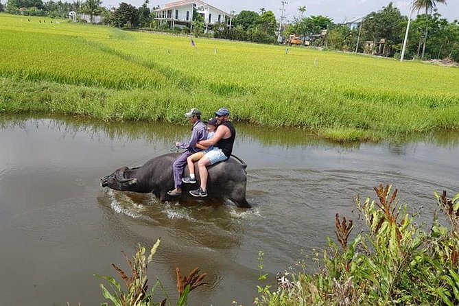 Countryside Tour of Hoi An, Basket Boat, Buffalo Ride, Farming With Local Farmer - Inclusions and Exclusions