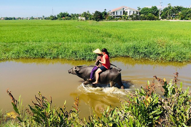 Riding Water Buffalo Hoi An Private Tour - Pickup Information