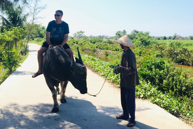 Riding Water Buffalo Hoi An Private Tour - Directions