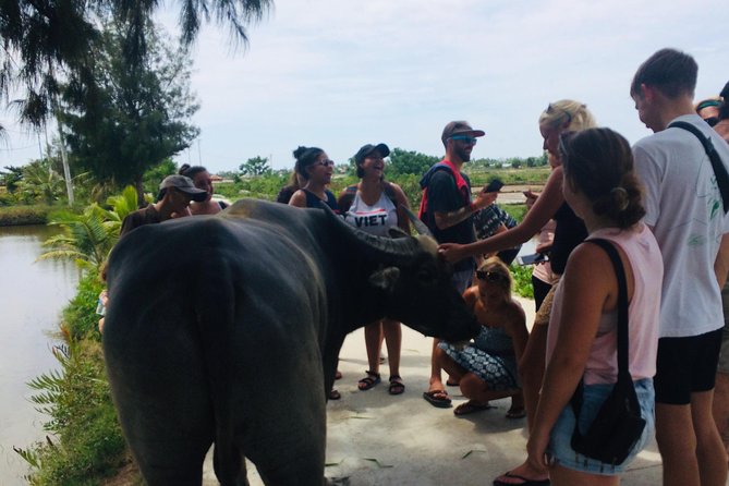 Riding Water Buffalo Hoi An Private Tour - Last Words