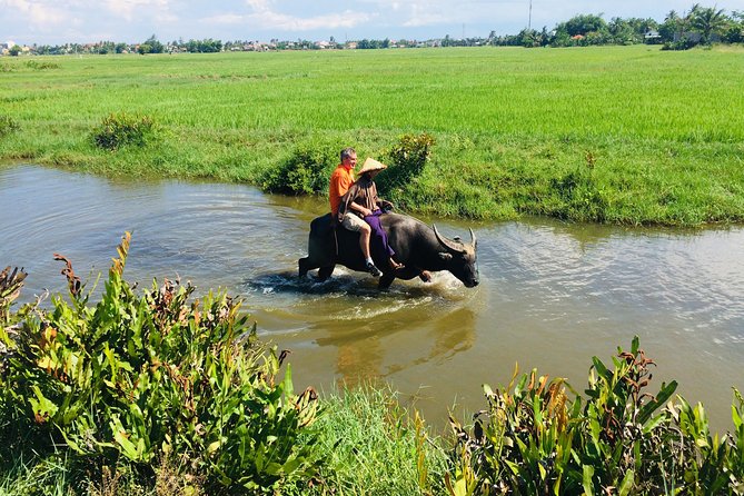 Riding Water Buffalo Hoi An Private Tour - Common questions