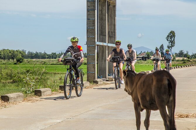 Half-Day Bike Tour in the Hoi An Countryside - Good To Know