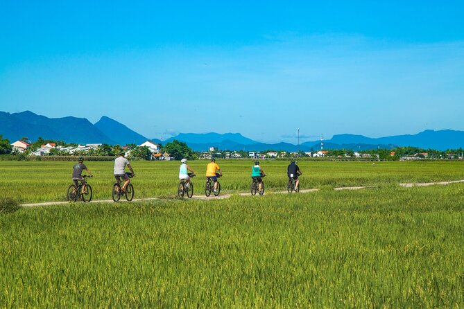 Full-Day My Son Sanctuary Bike Tour From Hoi an - Inclusions