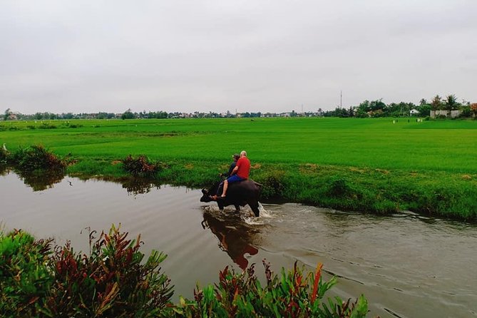 Hoi an Countryside Tour With Bamboo Basket Boat Rowing , Buffalo Ride, Farming - Common questions