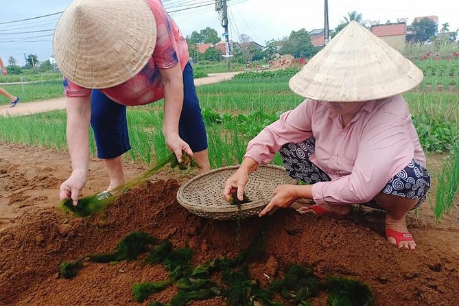 Hoi an Countryside Tour With Bamboo Basket Boat Rowing , Buffalo Ride, Farming - Getting There